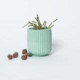 Dorè Bloom Planter