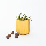 Dorè Bloom Planter