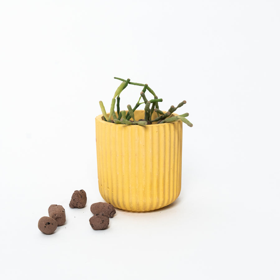 Dorè Bloom Planter