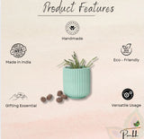 Dorè Bloom Planter