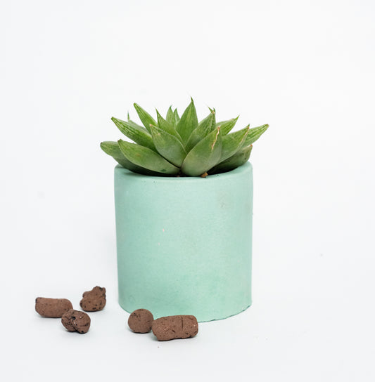 Nestà Verde Planter - Flourish with style