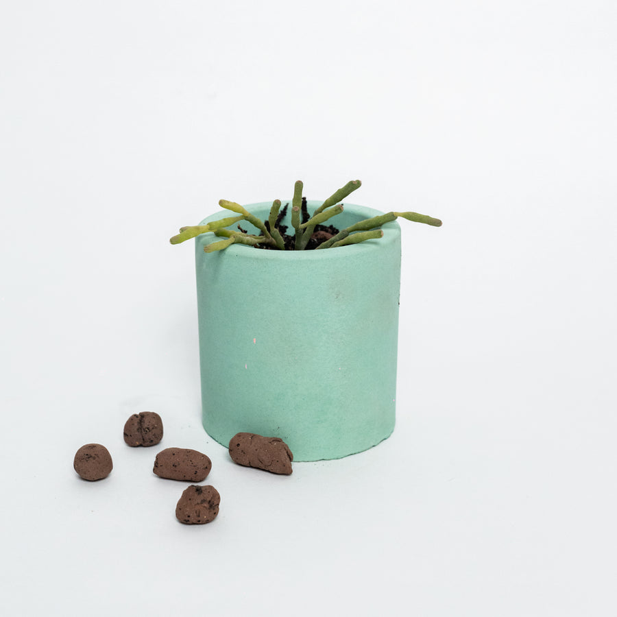 Nestà Verde Planter - Flourish with style