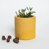 Nestà Verde Planter - Flourish with style