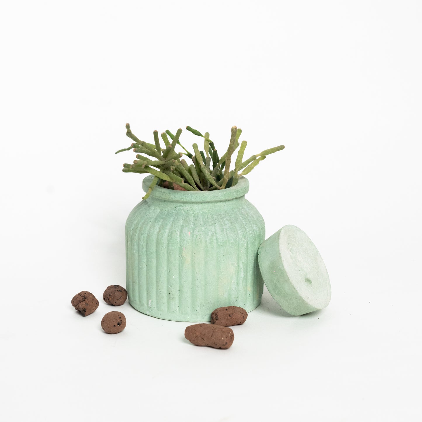 Sahasyà Verdure Planter - Chic Greenery