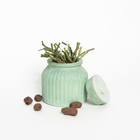 Sahasyà Verdure Planter - Chic Greenery