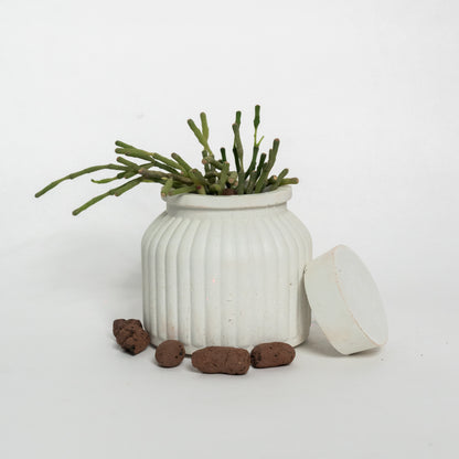 Sahasyà Verdure Planter - Chic Greenery