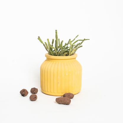 Sahasyà Verdure Planter - Chic Greenery