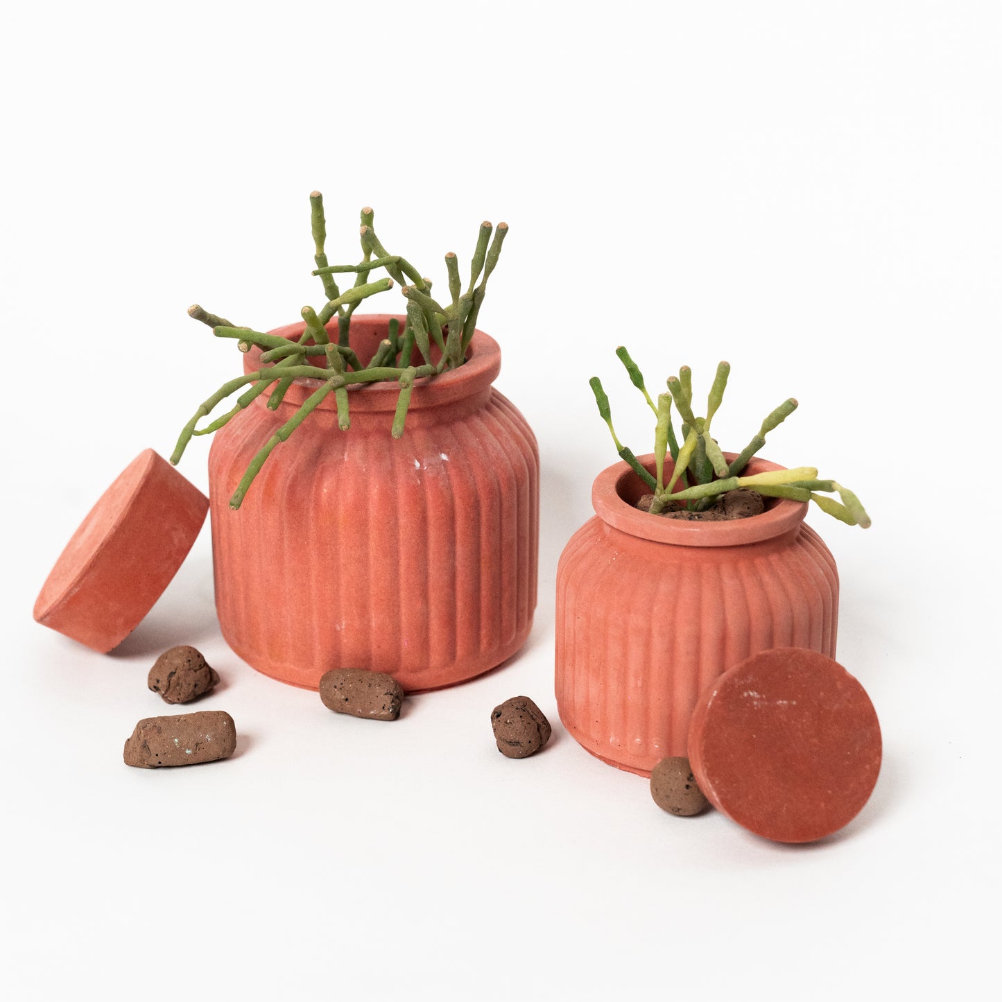 Sahasyà Verdure Planter - Chic Greenery