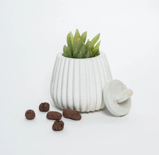Nerida Forge Planter - Strong and Stylish