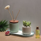 Savanà Sol Set (Dore Reed Diffuser, Varya Planter with Etagere Engraved Tray) - Pankh by Aurum